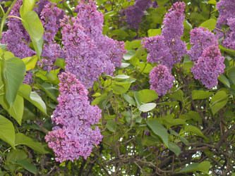 Similar image 22746998