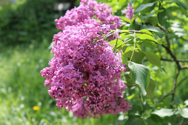 Similar image 22747004