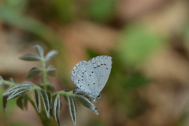 Similar image 22746536