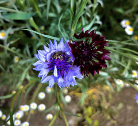 Similar image 22758793