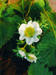 Similar image 22758796