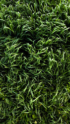 Similar image 22753764