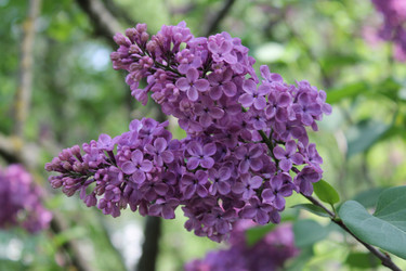 Similar image 22747006