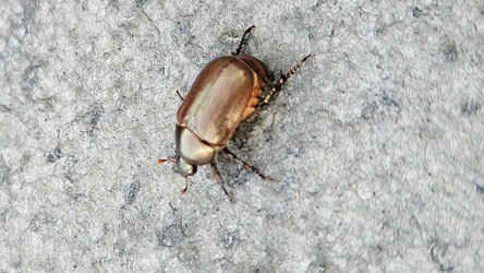 Similar image 22769631