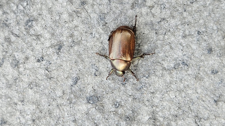 Similar image 22769647