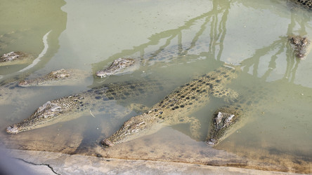 Similar image 22769662