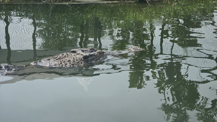 Similar image 22769664