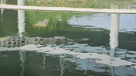 Similar image 22769666