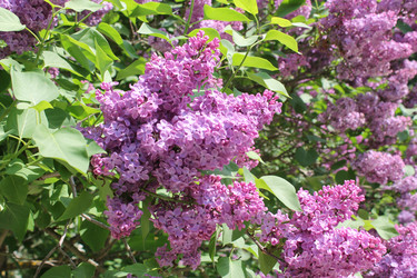 Similar image 22747012