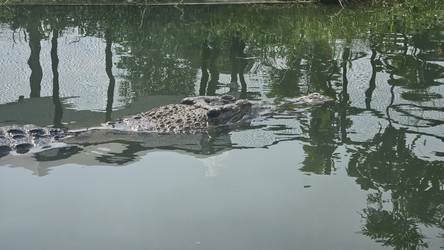 Similar image 22769668