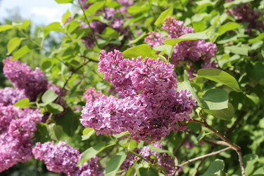 Similar image 22747013