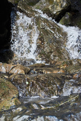 Similar image 22751449