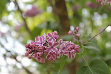 Similar image 22748000