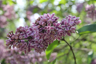 Similar image 22748001