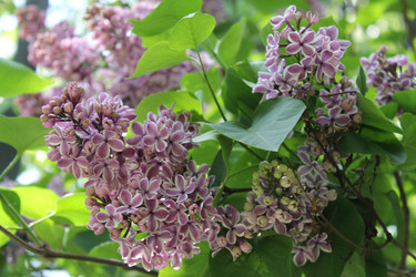 Similar image 22748002
