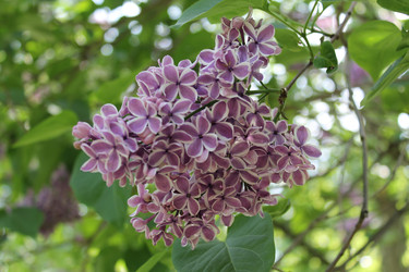 Similar image 22748003