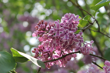 Similar image 22748004