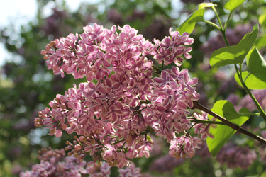 Similar image 22748006