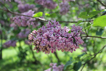Similar image 22748007