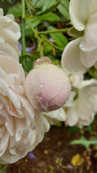 Similar image 22759352
