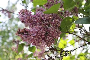 Similar image 22748008