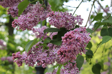 Similar image 22748009