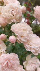 Similar image 22759354