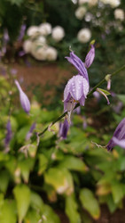 Similar image 22759356