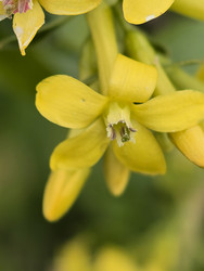 Similar image 22747749