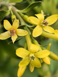Similar image 22747754