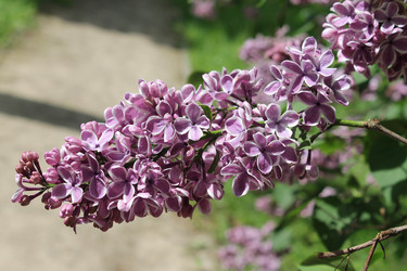 Similar image 22747910