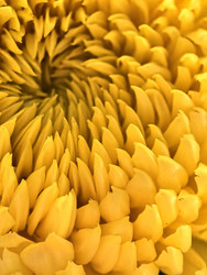 Similar image 22747764