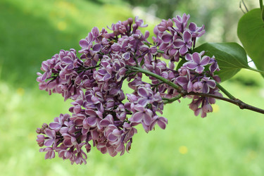 Similar image 22747911
