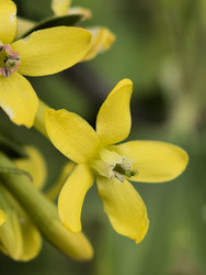 Similar image 22747768