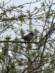 Similar image 22747777