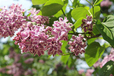 Similar image 22747912