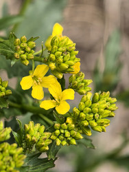 Similar image 22747788