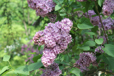 Similar image 22747925