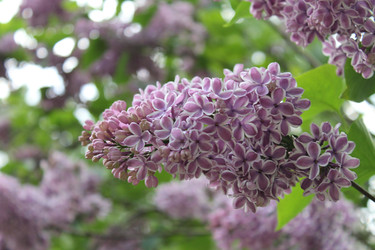 Similar image 22747926