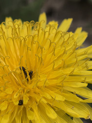Similar image 22747797