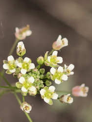 Similar image 22747802