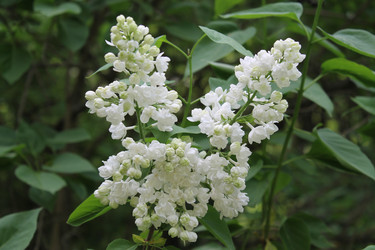 Similar image 22747940