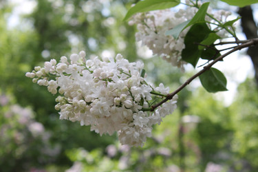 Similar image 22747941