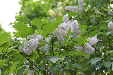 Similar image 22747942