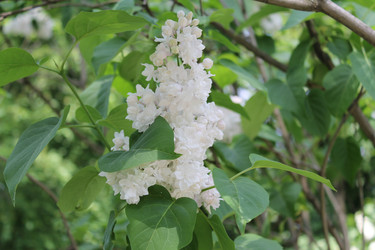 Similar image 22747943