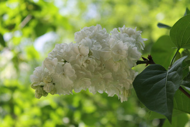 Similar image 22747944