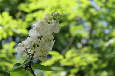 Similar image 22747945