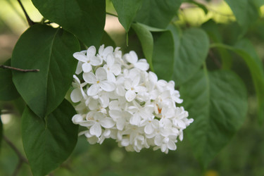 Similar image 22747955