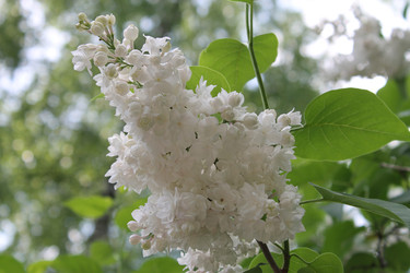 Similar image 22747956