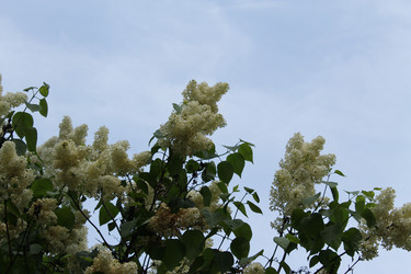 Similar image 22747957